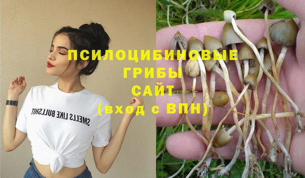 не бодяженный Алзамай