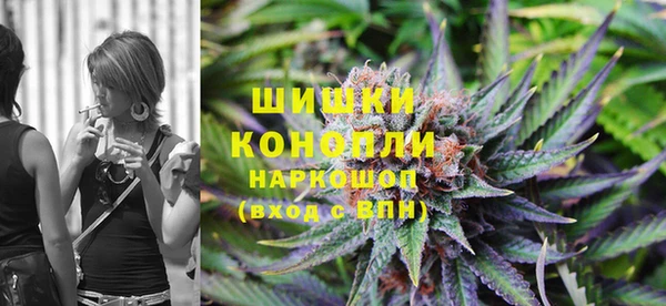 гидропоника Няндома