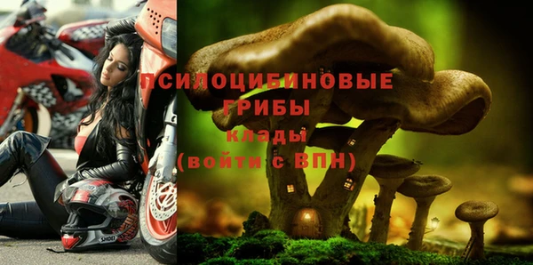 бошки Алексин