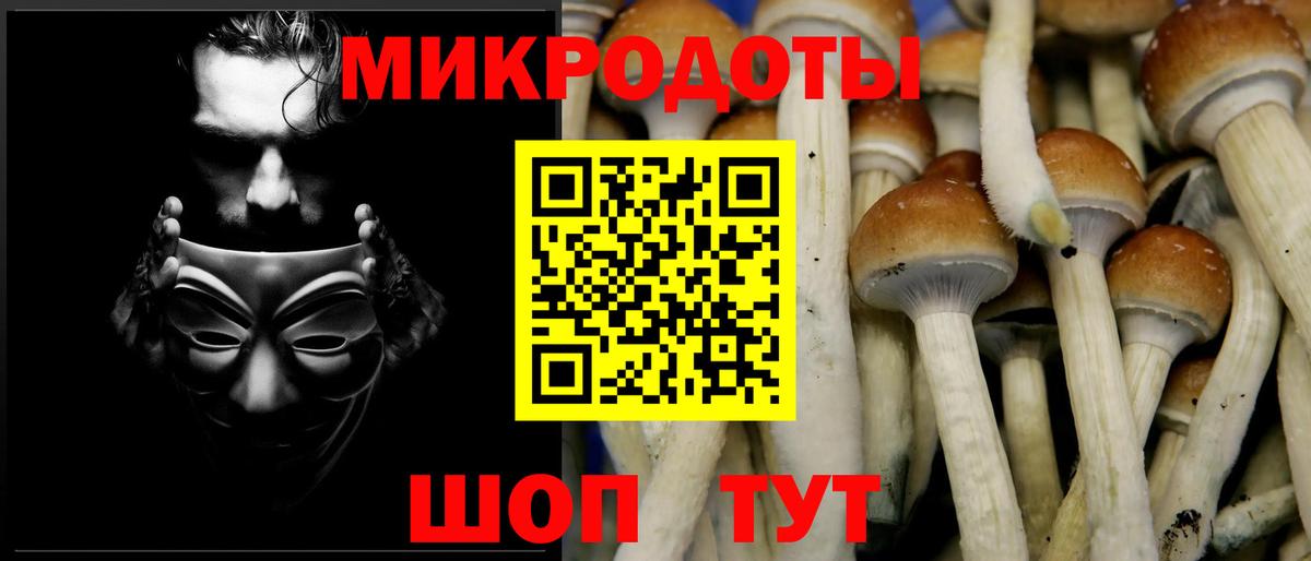 Псилоцибиновые грибы прущие грибы Углич